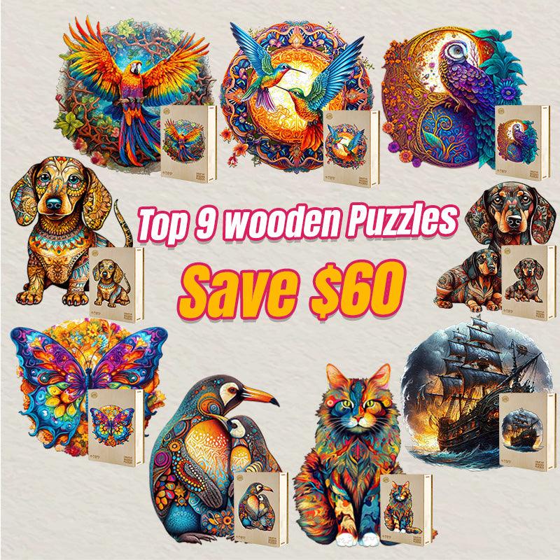 2025 Top 9 Wooden Puzzles Bundle in One Package