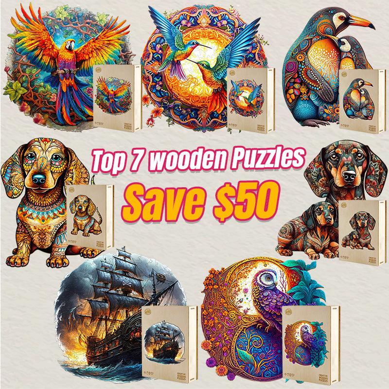 2025 Top 7 Wooden Puzzles Bundle in One Package