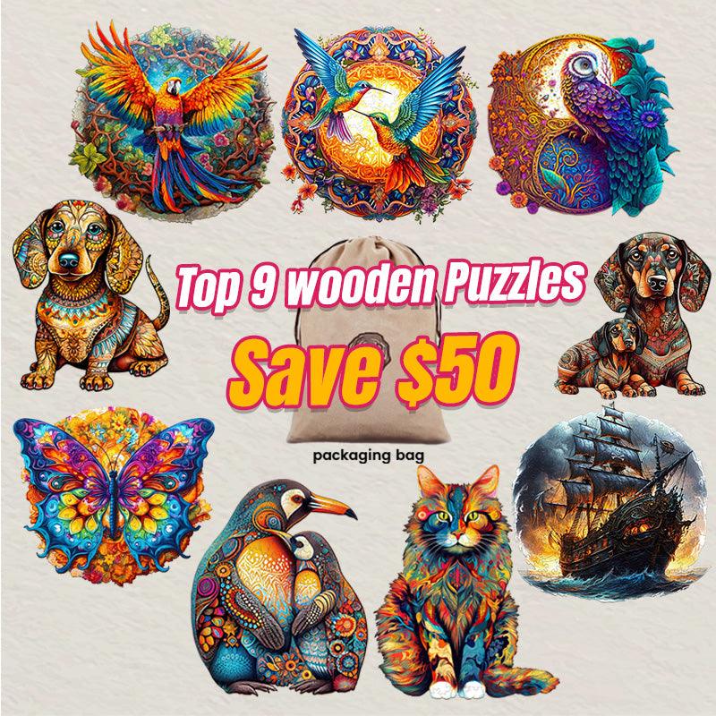 2025 Top 9 Wooden Puzzles Bundle in One Package
