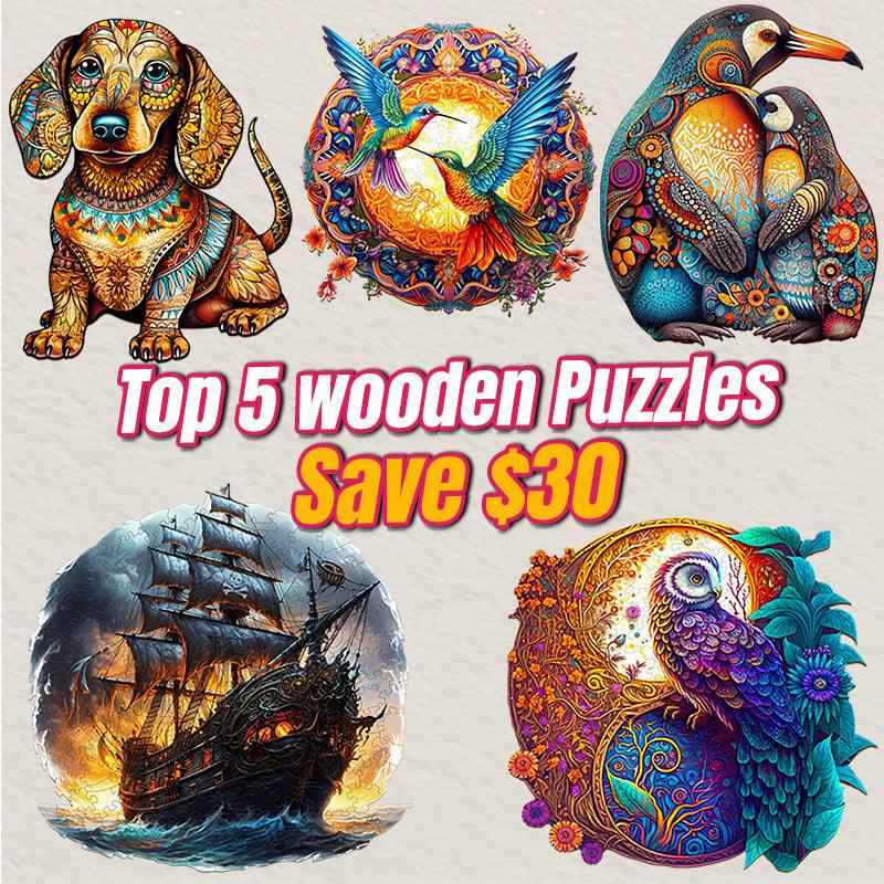 2025 Top 5 Wooden Puzzles Bundle in One Package