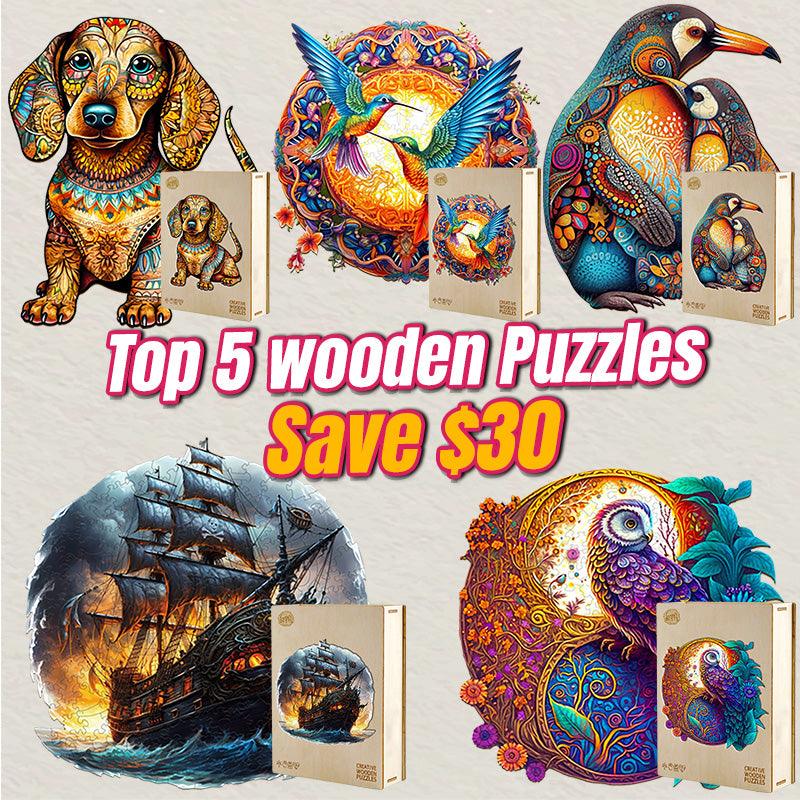 2025 Top 5 Wooden Puzzles Bundle in One Package