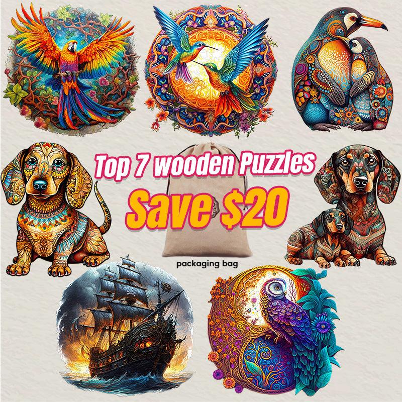 2025 Top 7 Wooden Puzzles Bundle in One Package