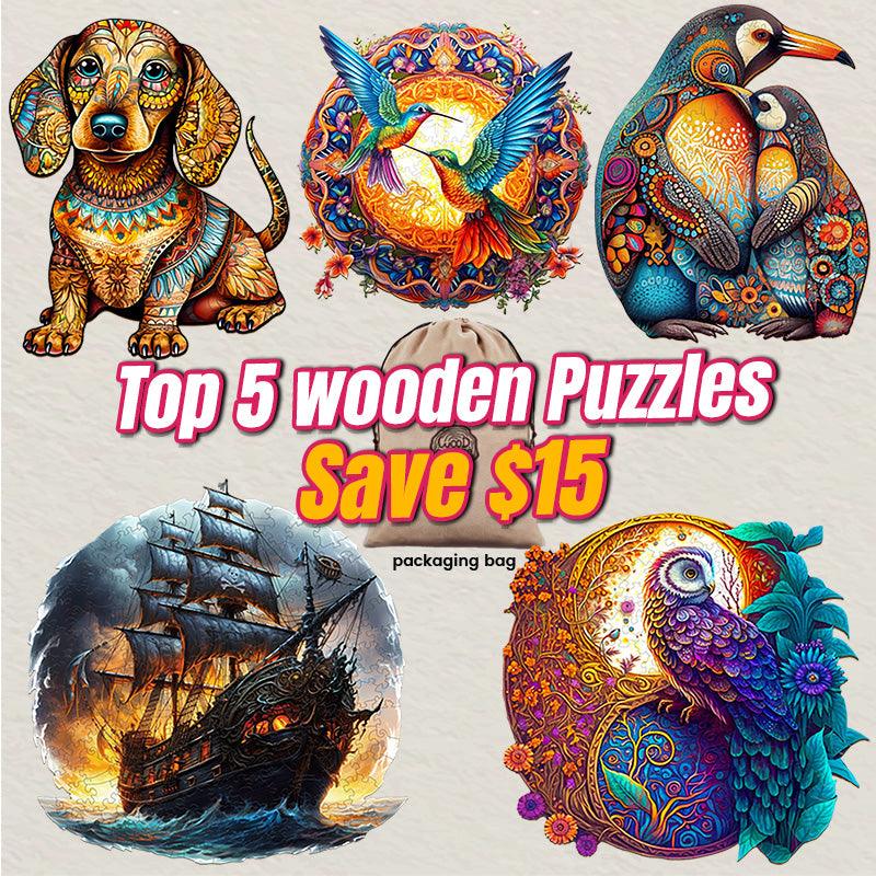 2025 Top 5 Wooden Puzzles Bundle in One Package