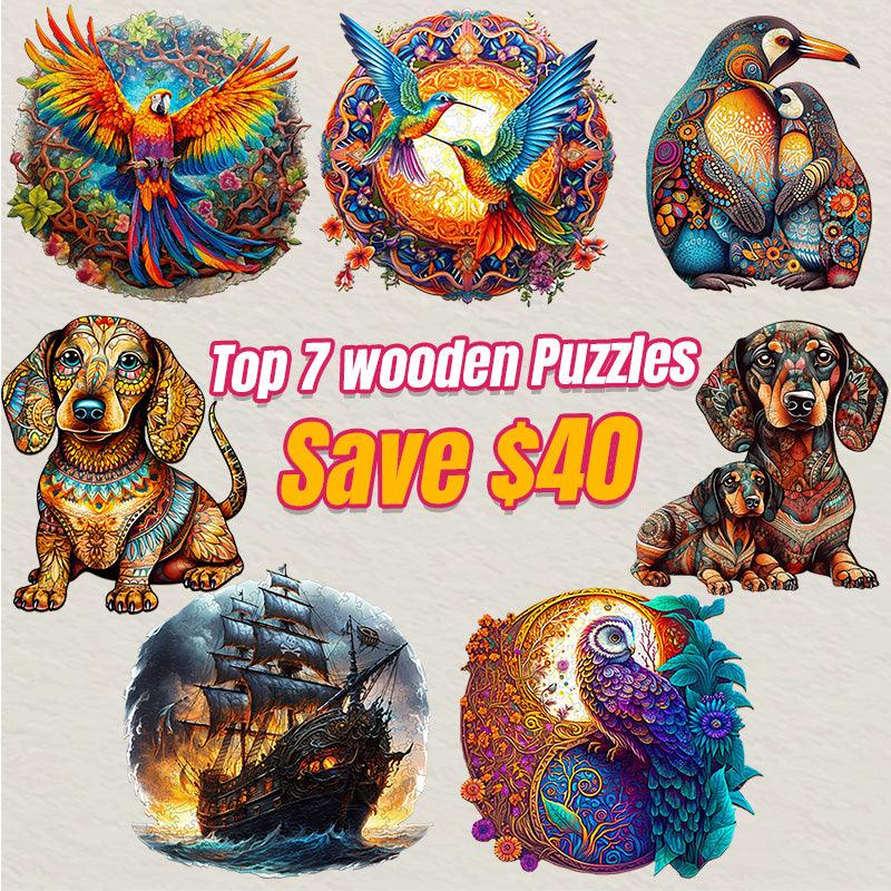 2025 Top 7 Wooden Puzzles Bundle in One Package