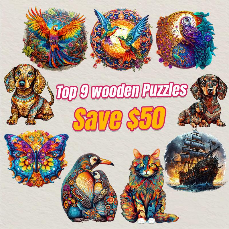 2025 Top 9 Wooden Puzzles Bundle in One Package